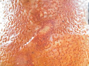 オレンジ色の志野茶碗